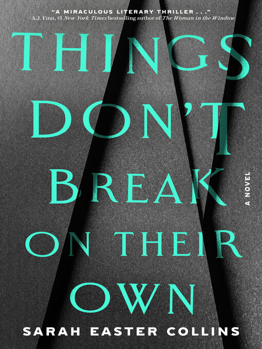 Title details for Things Don't Break on Their Own by Sarah Easter Collins - Wait list